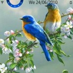 Tema blue brids