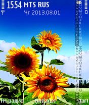 Temas gratis para Samsung SGH-i550