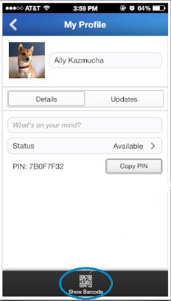 BBM PARA iOS4-
