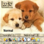 tema Two little pups